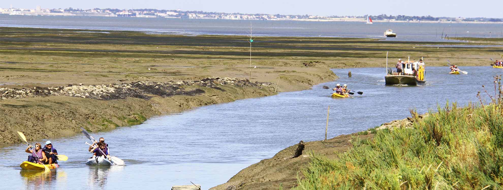 Pourquoi l’île d’Oléron devient-elle si populaire ?